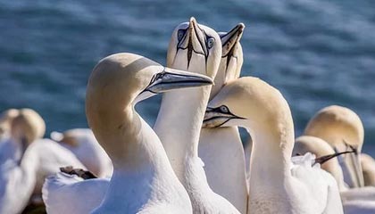 2025“玫瑰绽放”训练营U12年龄组(第一阶段武汉站)圆满收官