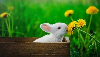 【比赛日Vlog】中超第9轮 云南玉昆2比3上海海港精彩瞬间